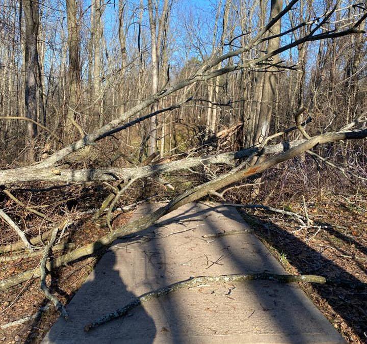 Parma DGC closed for storm cleanup